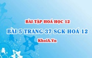 Bài 5 trang 37 SGK Hoá 12: Nội dung về CacboHidrat